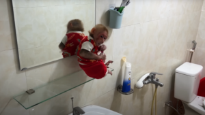 Monkey BiBi: Daily Joy With Clever Primate!